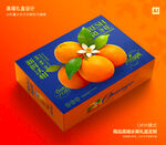 沃柑包装 芦柑礼品