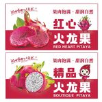 火龙果精品宣传海报
