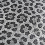 豹纹动物皮毛纹理特写