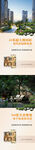 超大楼间距全新规划楼盘卖点海报