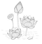 手绘荷花线条图 矢量图