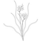 简约线条绘就的花卉图案 矢量图