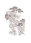 松树 龙纹