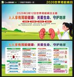 2026年世界肾脏病日