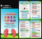 世界肾脏病日海报