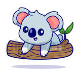 趴在树干上的可爱考拉