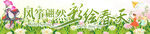 风筝节条幅