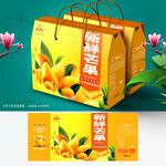 芒果包装 金煌芒礼盒