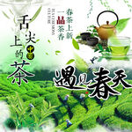 春茶上市