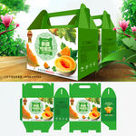 哈密瓜包装 水果礼盒