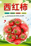 西红柿