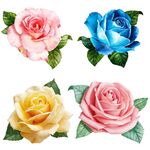 多彩玫瑰花 月季花展示