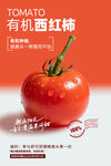 西红柿