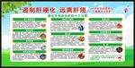 全国爱肝日宣传栏