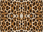 豹纹图案纹理背景