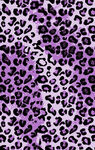 紫色豹纹图案纹理