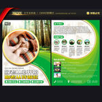 居家养老宣传单