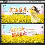 油菜花海报