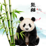 熊猫