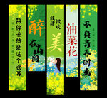 油菜花挂布