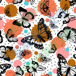 水彩卡通蝴蝶图片