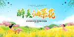 醉美油菜花春游背景展板