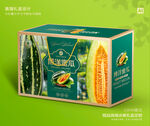 博洋蜜瓜包装 甜瓜礼盒