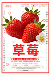 草莓