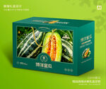 博洋蜜瓜包装 甜瓜礼盒
