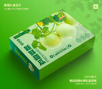 马连庄甜瓜包装 蜜瓜礼盒