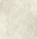 米白色纹理背景图