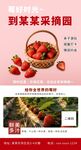 粉红色草莓采摘清新治愈风海报