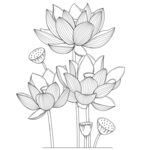 手绘荷花线稿图案 矢量图