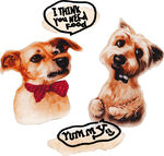 可爱小狗头像及趣味文字