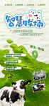 天然牧场宣传