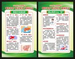 全国爱肝日展板