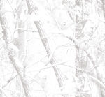 冬日雪景中的树木线条