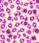 紫色花卉图案背景纹理