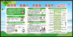 全国疟疾日宣传栏