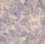 梦幻蓝紫渐变抽象纹理背景