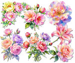 水彩花卉插画集