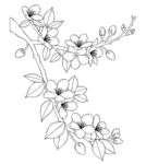 花卉线条画 精致花枝图案 矢量