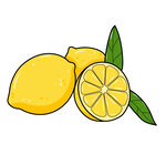 新鲜柠檬 矢量图