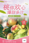 桃子海报