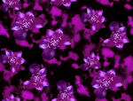 紫色繁花背景纹理图案