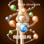 膝盖骨质结构与元素示意