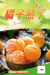 新鲜橘子海报