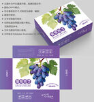 紫色葡萄包装设计展示