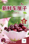 新鲜车厘子海报