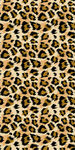 豹纹图案背景纹理